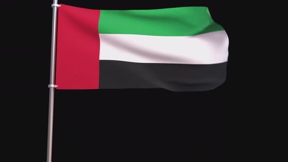 Dubai Flag