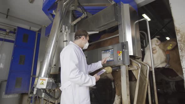 Technological and automatic milking machine and farmer. alt