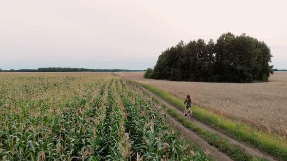 Aerial View of a Girl Riding a Bicycle Between Fields on Countryside alt