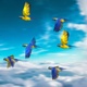 Parrot Flock - Normal and colored  4K - VideoHive Item for Sale
