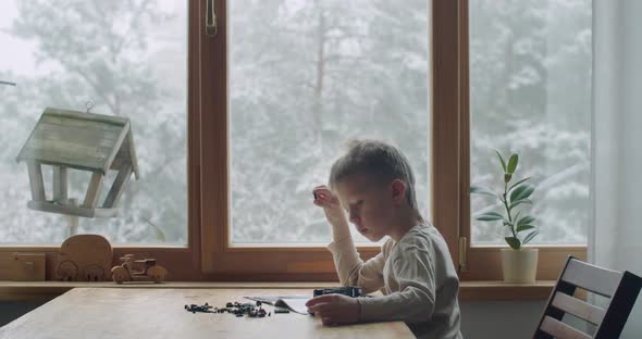 Concentrated Child Constructing Alone at Wooden Table with Flying Chickadees Feeding Outside