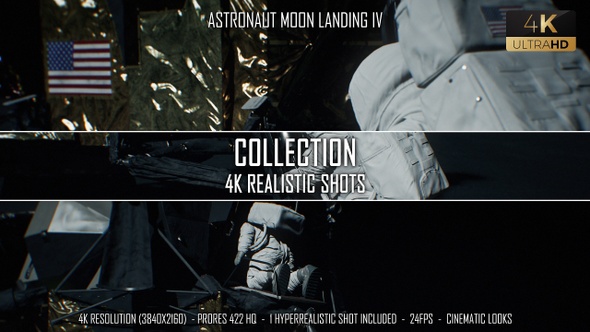 Astronaut Moon Landing IV