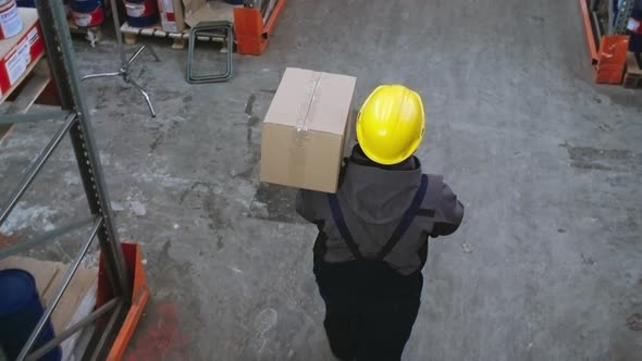 Storehouse Worker Carrying Box alt