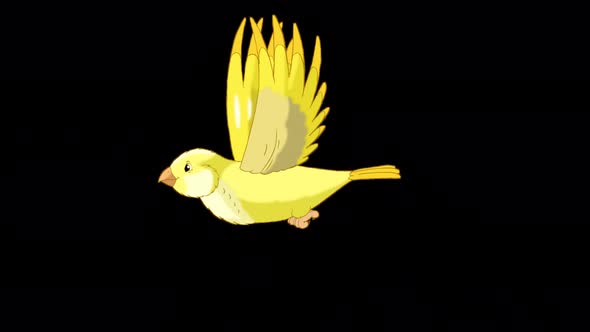 Yellow canary flies alpha matte 4K