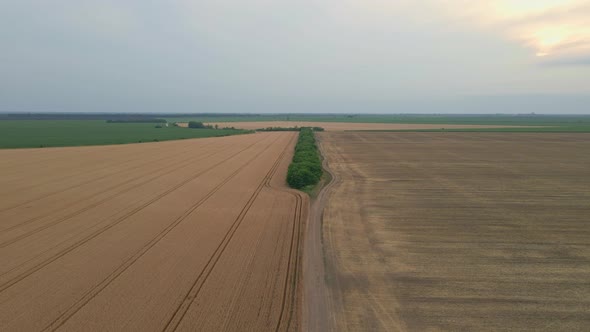 Aerial View Of Agricultural Land With Harvester