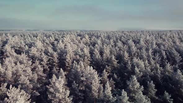 Drone flying over frozen forest in winter