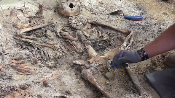 Mass Grave or Archaeological Excavations 6