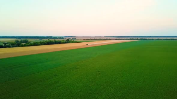 Aerial View of Harvester Riding Across Yellow Field at Sunset