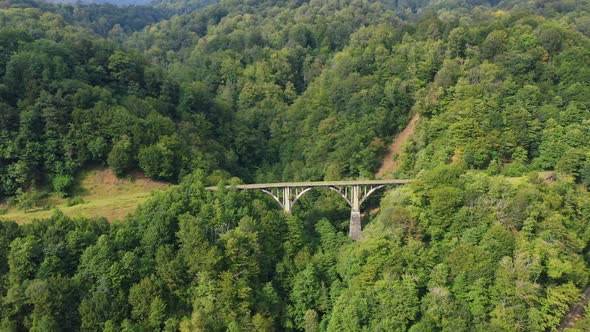 Old Miners' Railway Bridge in the Mountains and Forests