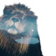 Lion Double Exposure - VideoHive Item for Sale
