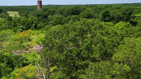 pull away drone shot, passing over trees closely with water tower in the distance on a sunny bright alt