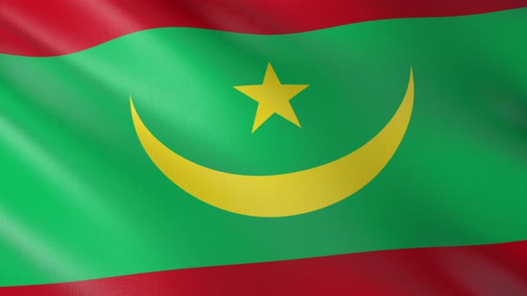 Flag of The Mauritania alt