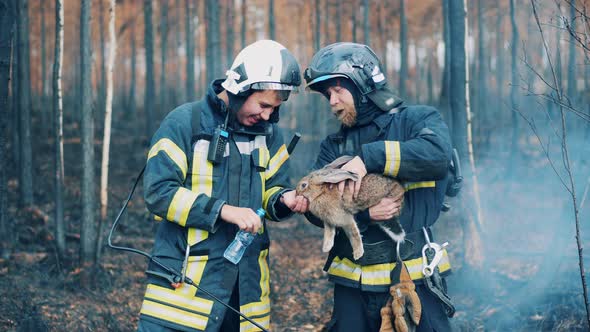 Two Firefighters are Giving Water to a Rabbit alt
