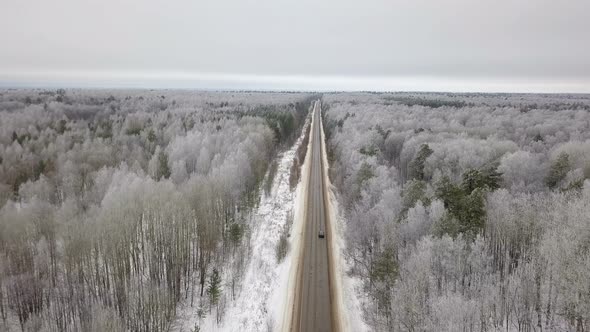 Winter Forest Road