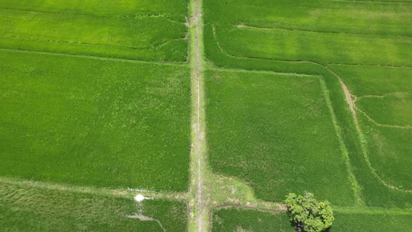 The Travel Heaven of Langkawi, Malaysia alt