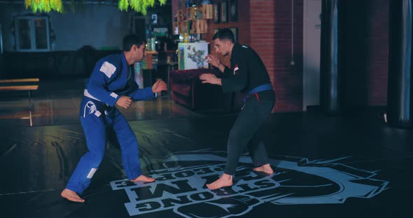 Enemy Capture Throw with a Painful Move alt