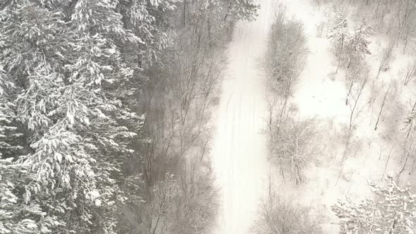 Snowed forest trail in the winter mist 4K aerial video alt
