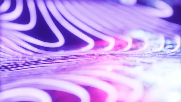 Looped Animation alt