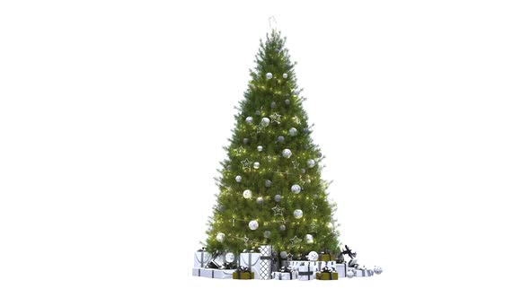 Isolated Christmas Tree