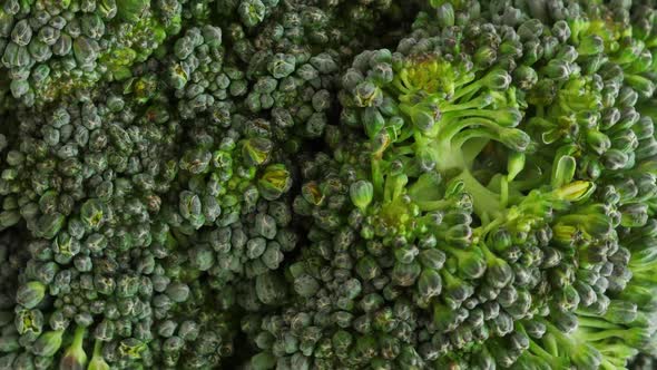 Fresh Green Broccoli Rotate alt