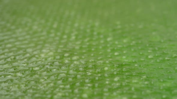 Green texture, Slow Motion alt