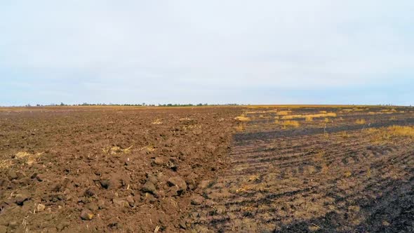 Plowed and Untouched Parts of the Field
