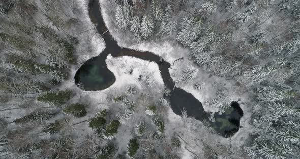 Water Springs and River in Winter Forest Aerial View alt