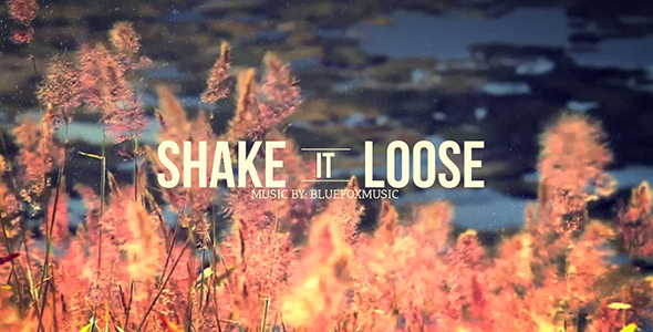 Shake It Loose