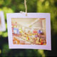 Photo Gallery in Sunny Woods - VideoHive Item for Sale
