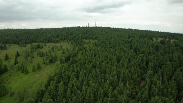 Fly over the forest, close to the trees, with the tower in the background, 4k drone.