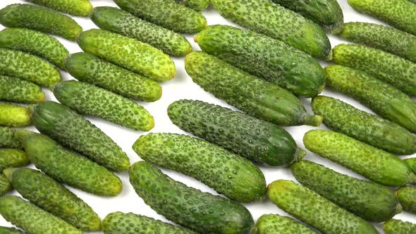 Sweet fresh gherkins lie in a row on the white surface. alt