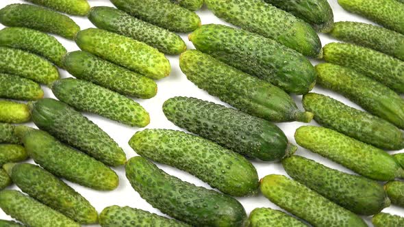 Sweet fresh gherkins lie in a row on the white surface.