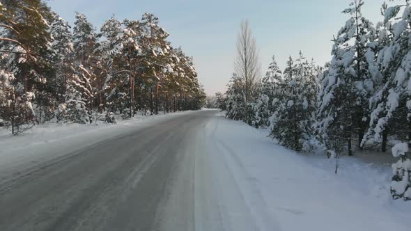 POV of a Car Moving in a Snowy Wooded Area alt