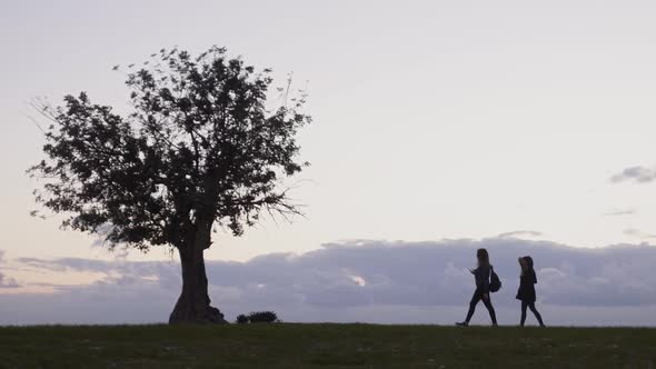 Silhouettes of Women Walking in Mediterranean Nature After Sunset