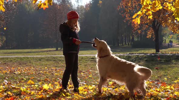 Happy Little Girl of European Appearance Is Having Fun Playing in the Autumn Park with a Big
