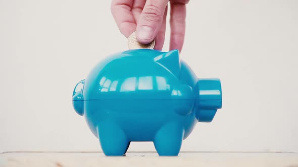 Blue piggy bank and a person adding coins