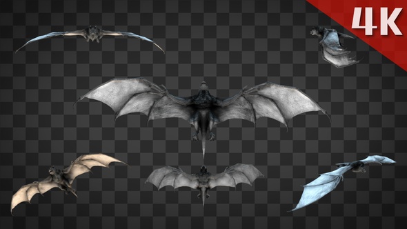 6 In 1 Bat Fly