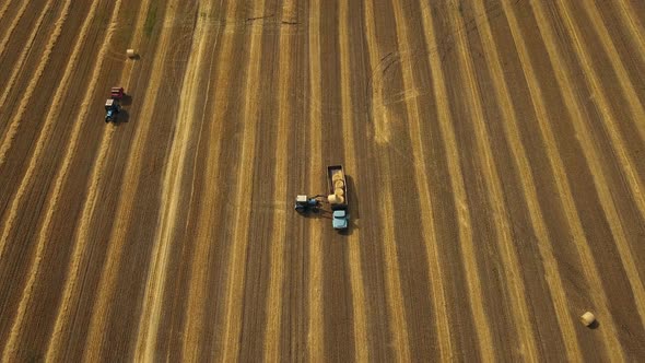 Aerial view of harvested wheat field with hay balls Flying above field ...