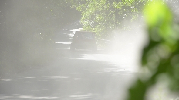 Rally Car in the Forest in Summer 02