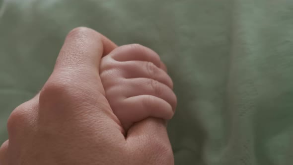 Baby's Little Cute Hand Holds Father's Loving Finger alt