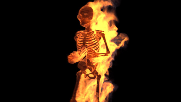 Fire Skeleton (6-Pack)