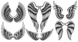 Wings Vector Illustration