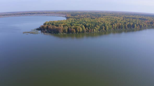 Aerial Footage of a Surface of the Lake Surrounded By Colorful Forest in Autumn.