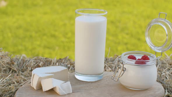 Dairy Products in the Garden