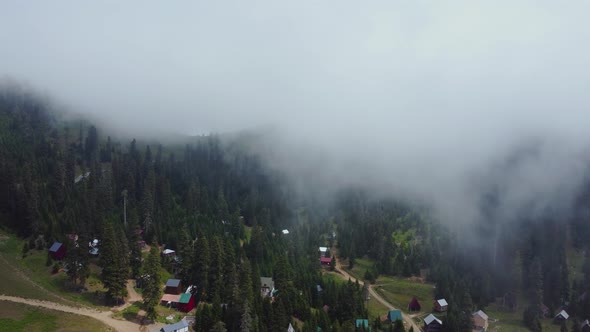 Cloud and forest aerial view alt