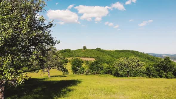 the old pear trees and beautiful landscape hills fields of Brus village, Kosovo