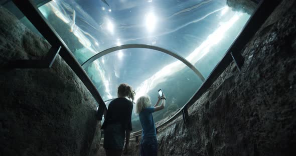 Siblings in the Middle of Clear Tunnel in Oceanarium and Boy Taking Photos alt