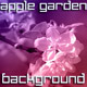 Blossoming Appletree in Garden Blossoming Appletree in Garden - VideoHive Item for Sale
