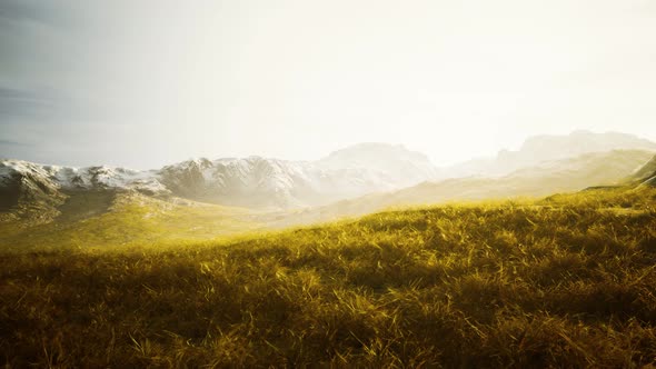 Dry Grass and Snow Covered Mountains in Alaska alt
