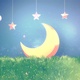 Moon and Grass - VideoHive Item for Sale
